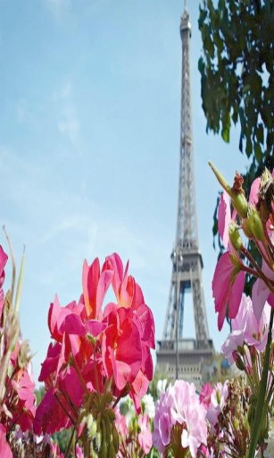 Paris Wallpaper App For Android