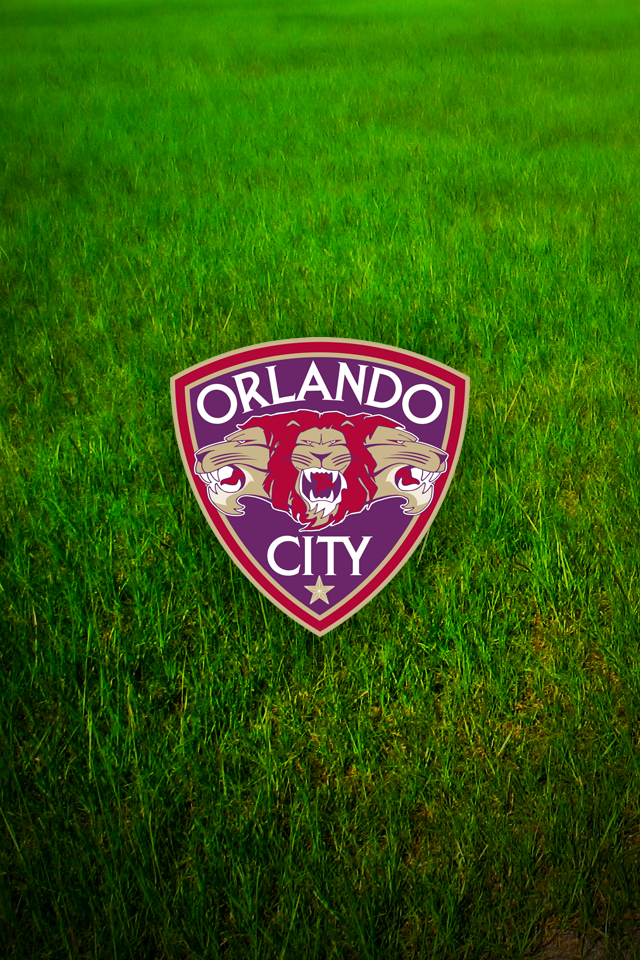 Bright Flare Orlando City Soccer Banner Field