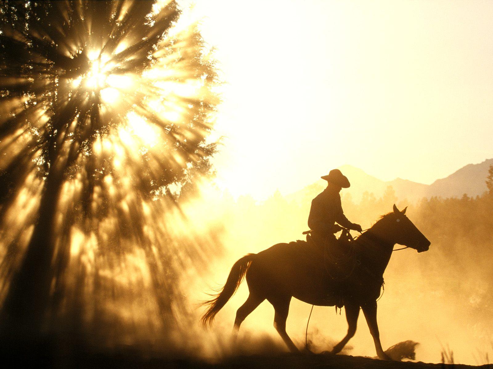 Cowboy Horse Sunset Desktop Wallpaper