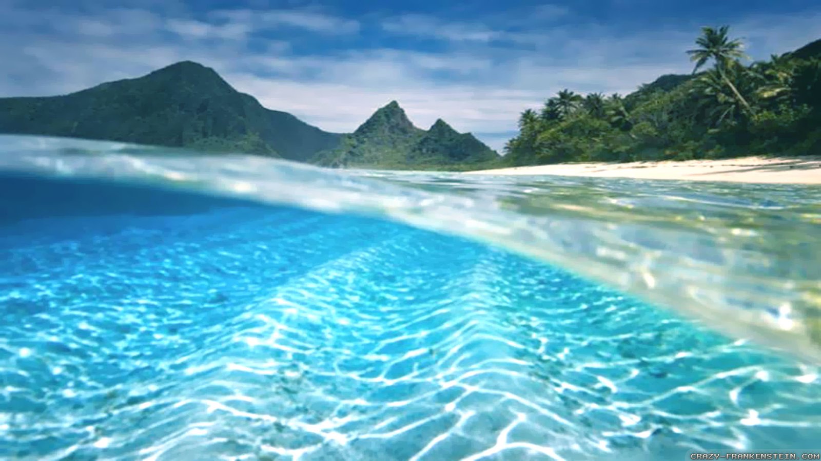 Underwater Beautiful Summer Wallpaper