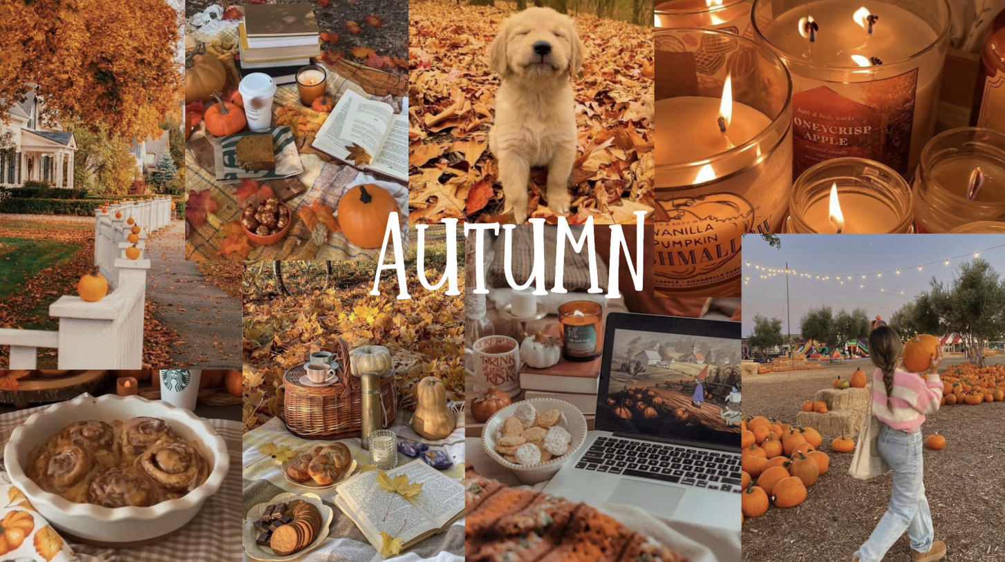 Aesthetic Autumn Wallpaper In