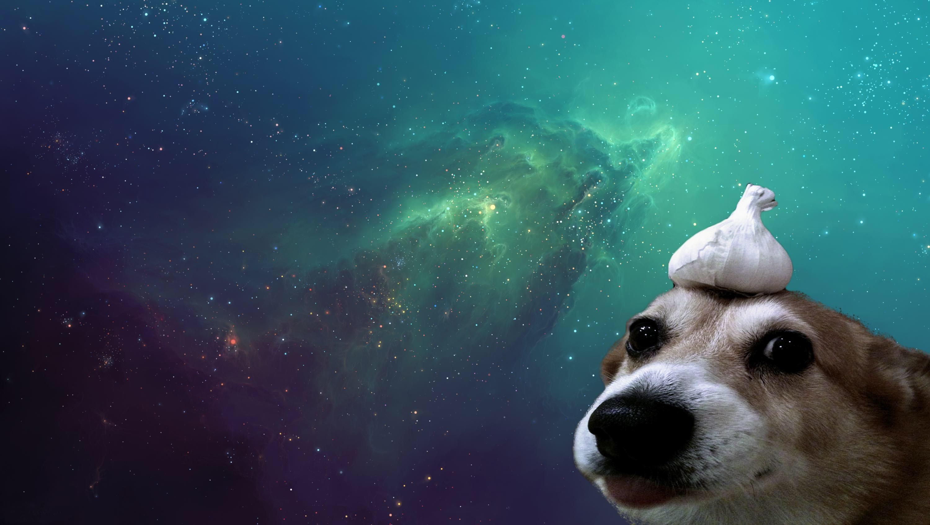 Funny Aesthetic Wallpaper For Your Desktop