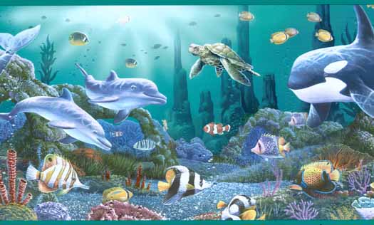 Wallpaper Border Fun Bright Underwater Tropical Fish and Dolphins 