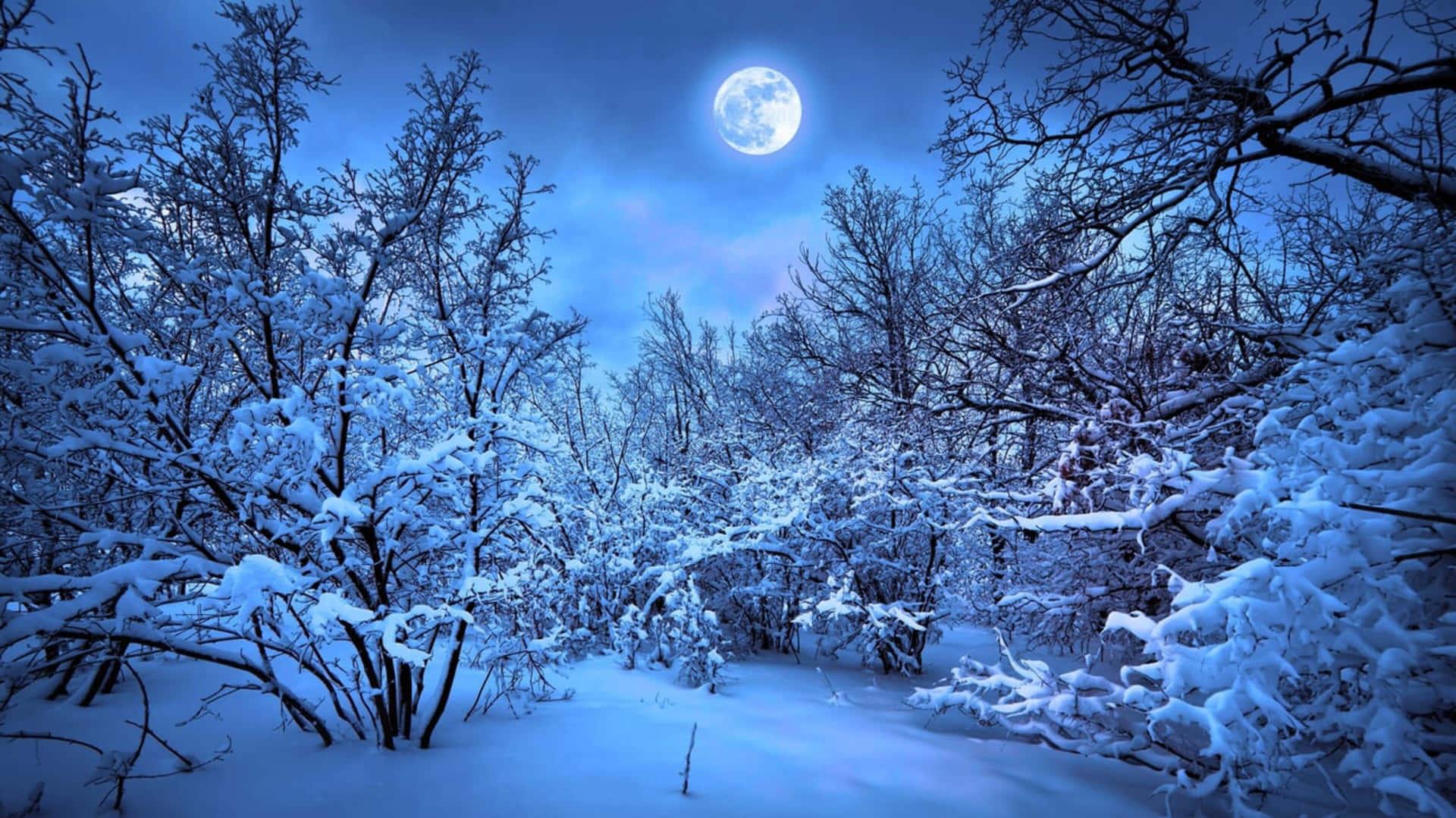 Full Moon In 4k Winter Background Wallpaper