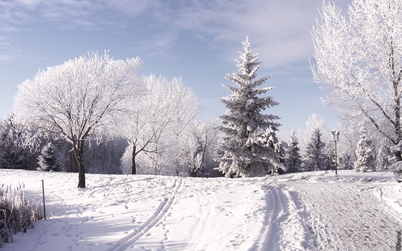 Winter HD Wallpaper Pictures Image Background Photos