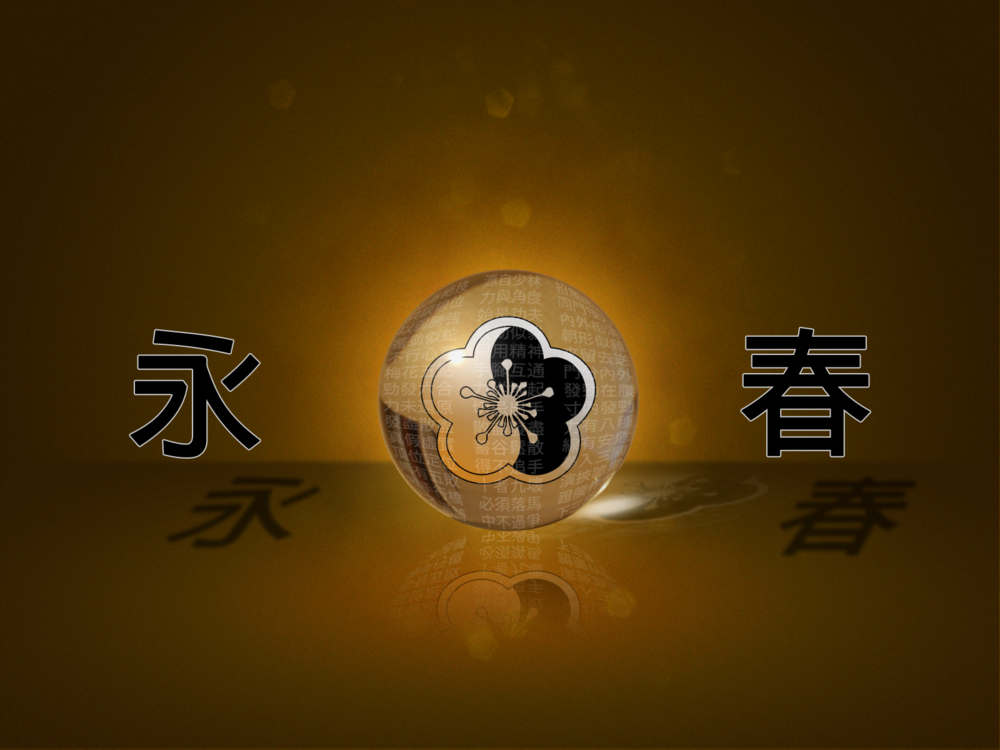 Wallpaper Wing Chun By Feurius Customize Org