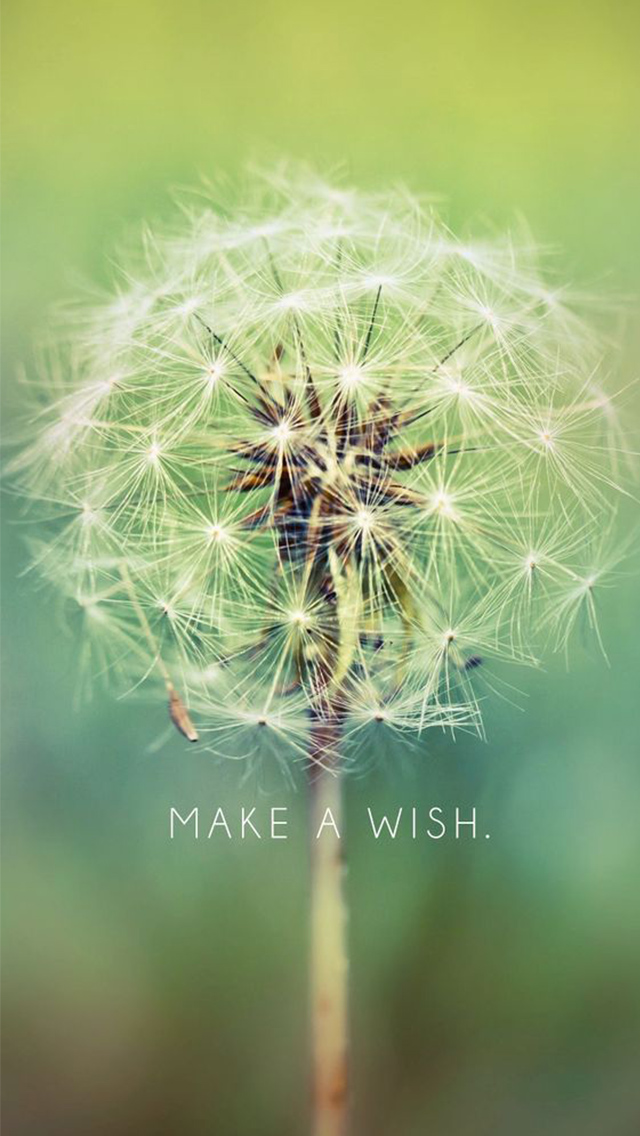 Make A Wish Dandelion iPhone Wallpaper Ipod HD