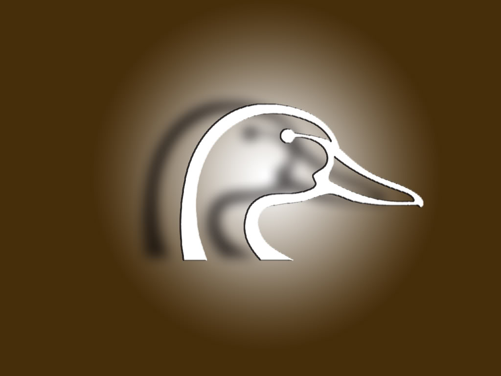 Ducks Unlimited Graphics Code Ments Pictures