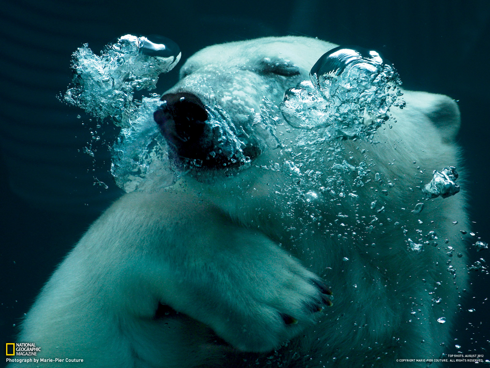 Desktop Background National Geographic Image Amp Pictures