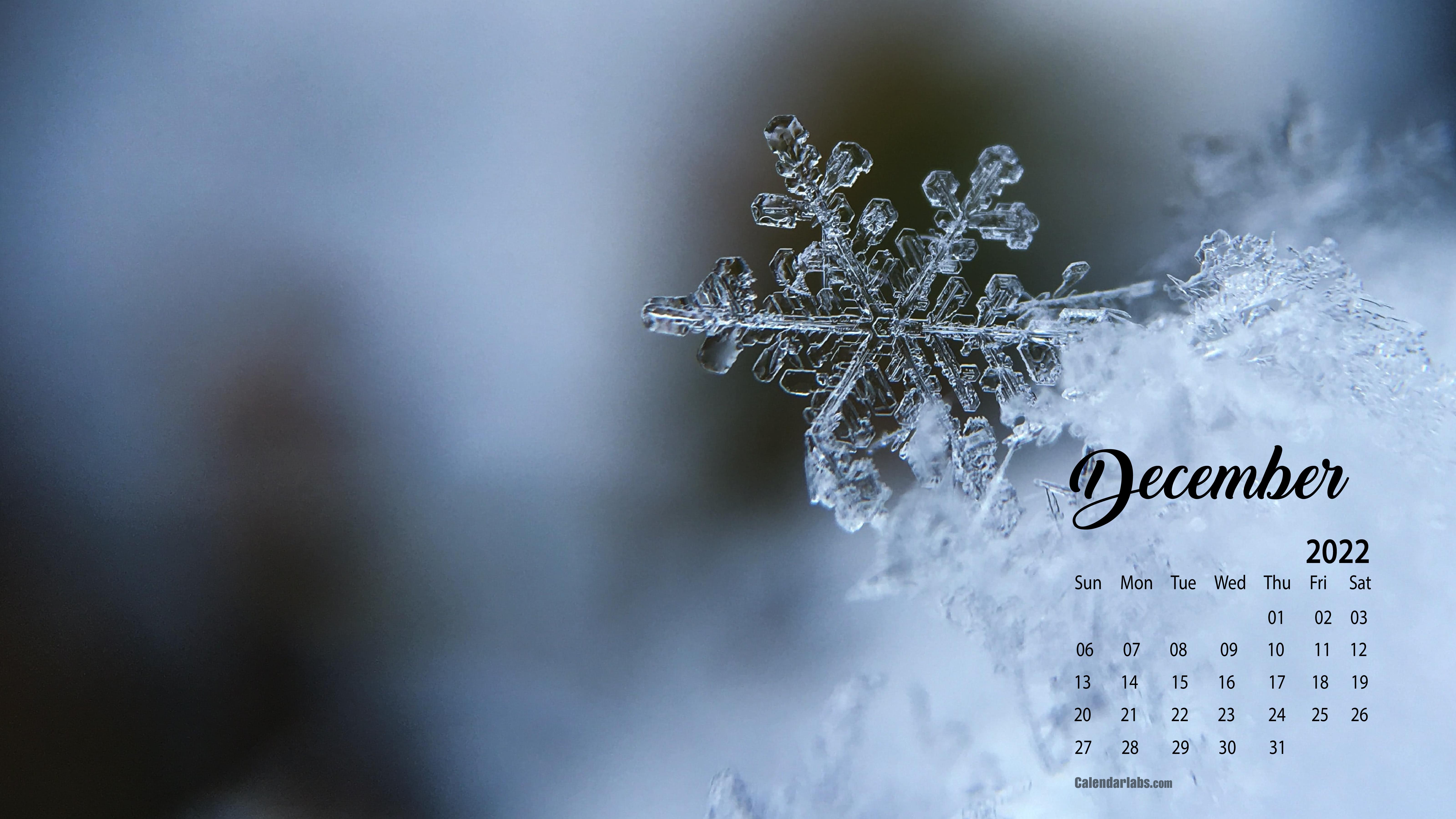December 2022 Desktop Wallpaper Calendar   CalendarLabs