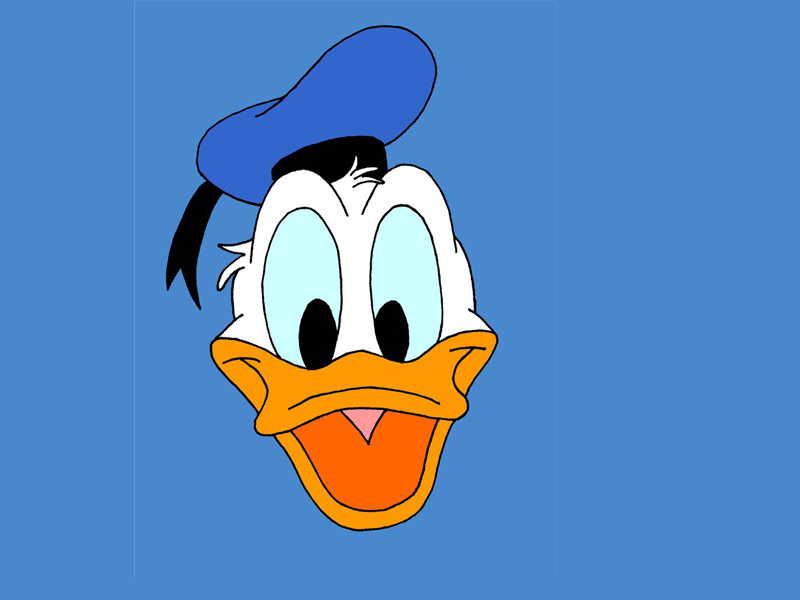 Free download Donald Duck Wallpaper 800x600 for your Desktop, Mobile & Tablet | Explore 77 ...