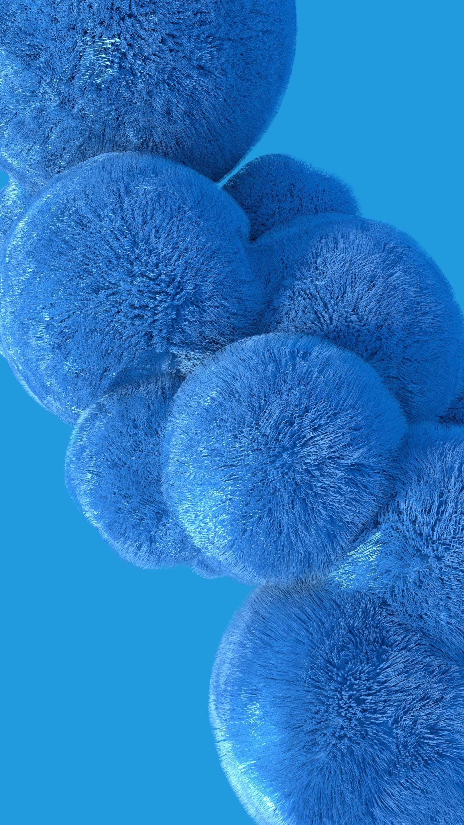 Fur Wallpaper