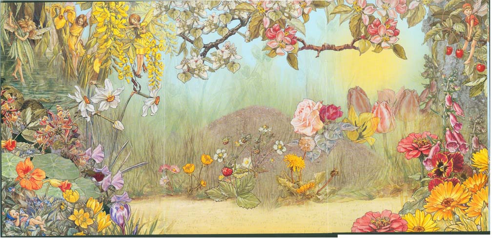 Frederick Warne S Flower Fairies