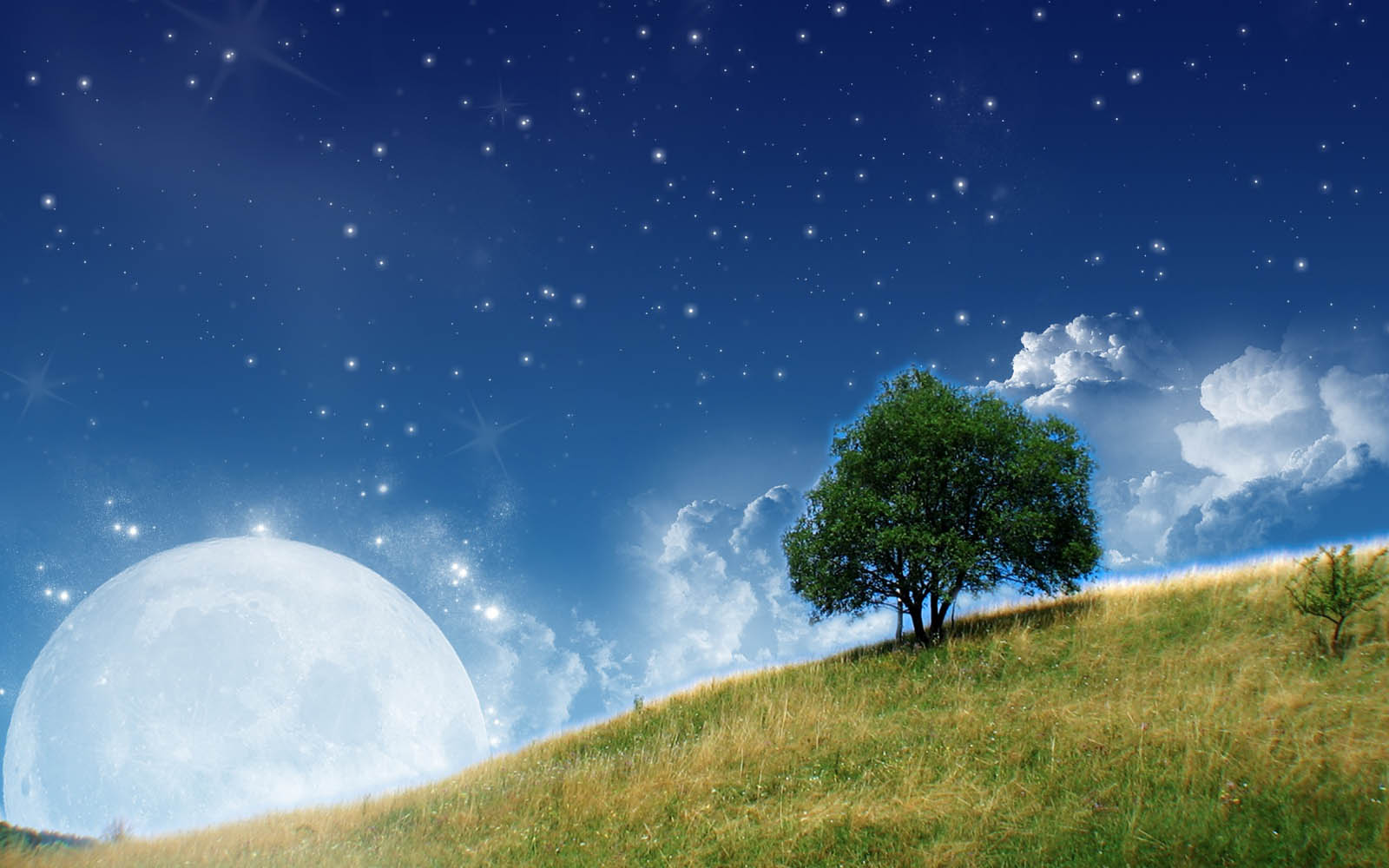 Moon Nature Wallpaper Desktop