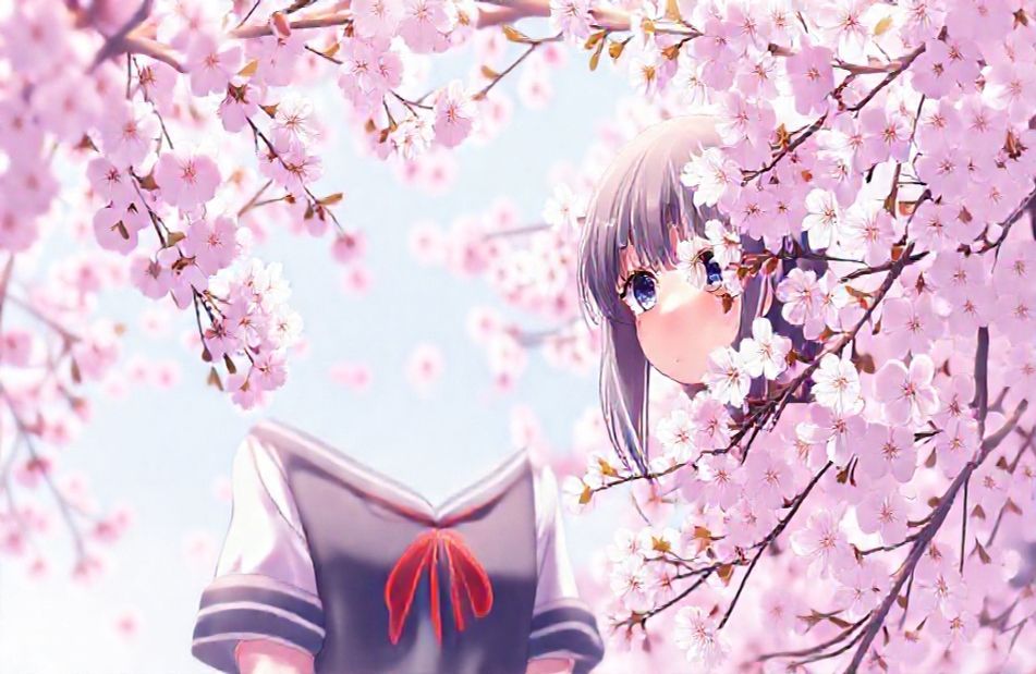 Mai Sakurajima Wallpaper