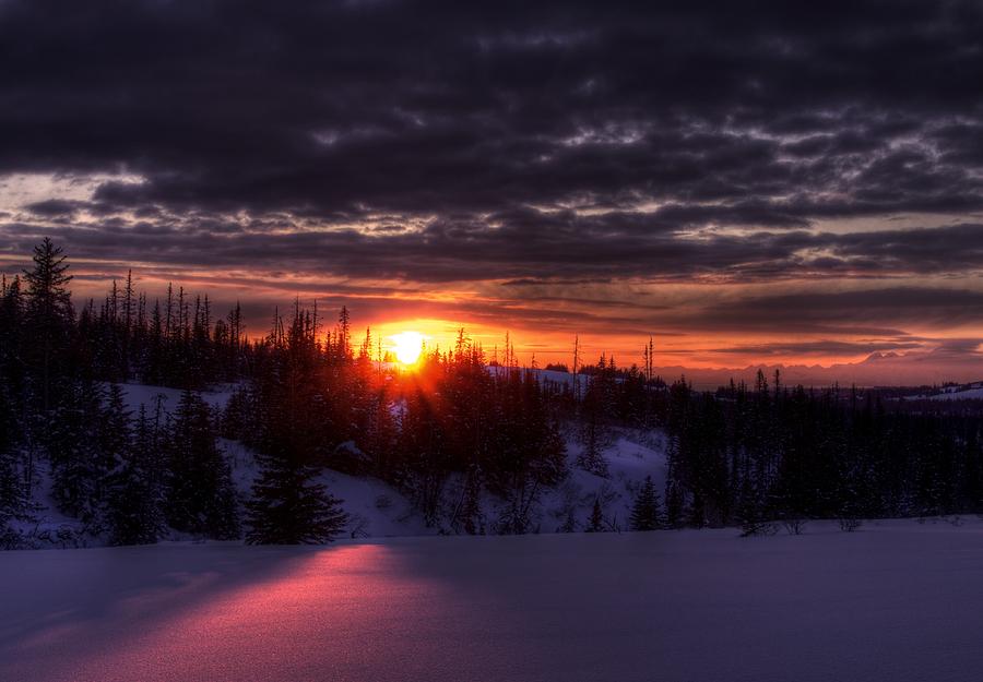 Alaskan Winter Sunset Photograph By Michele Cornelius