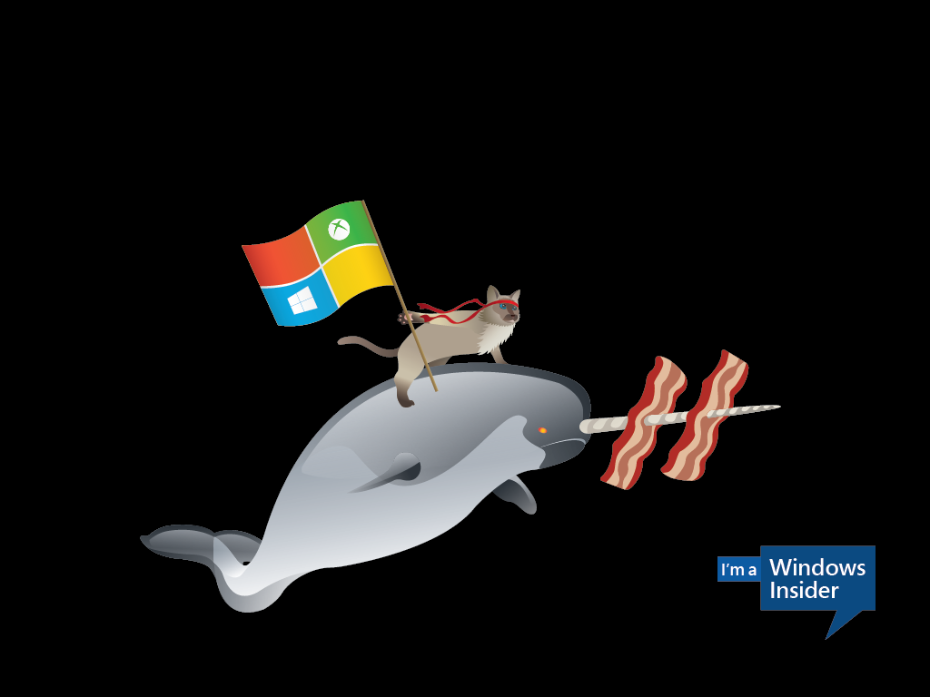 Windows Ninjacat Meme With New Microsoft Desktop Wallpaper Cio