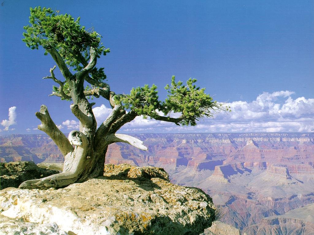 Grand Canyon Arizona Usa Places Puter Desktop Wallpaper