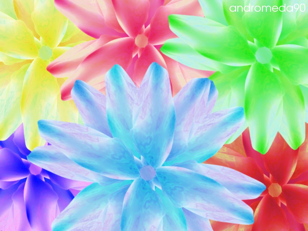 Bright Flowers Desktop Wallpaper