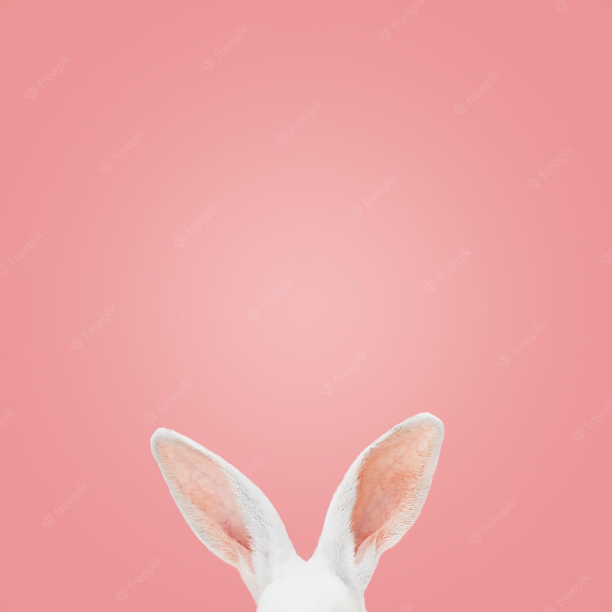 Premium Photo White Rabbit Ears On A Light Pink Background With