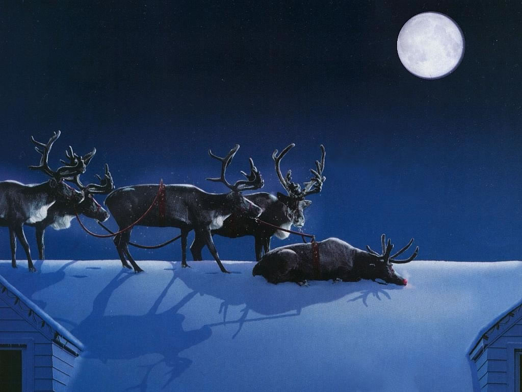 Sleeping On The Job Reindeer Christmas Animals Wallpaper Image