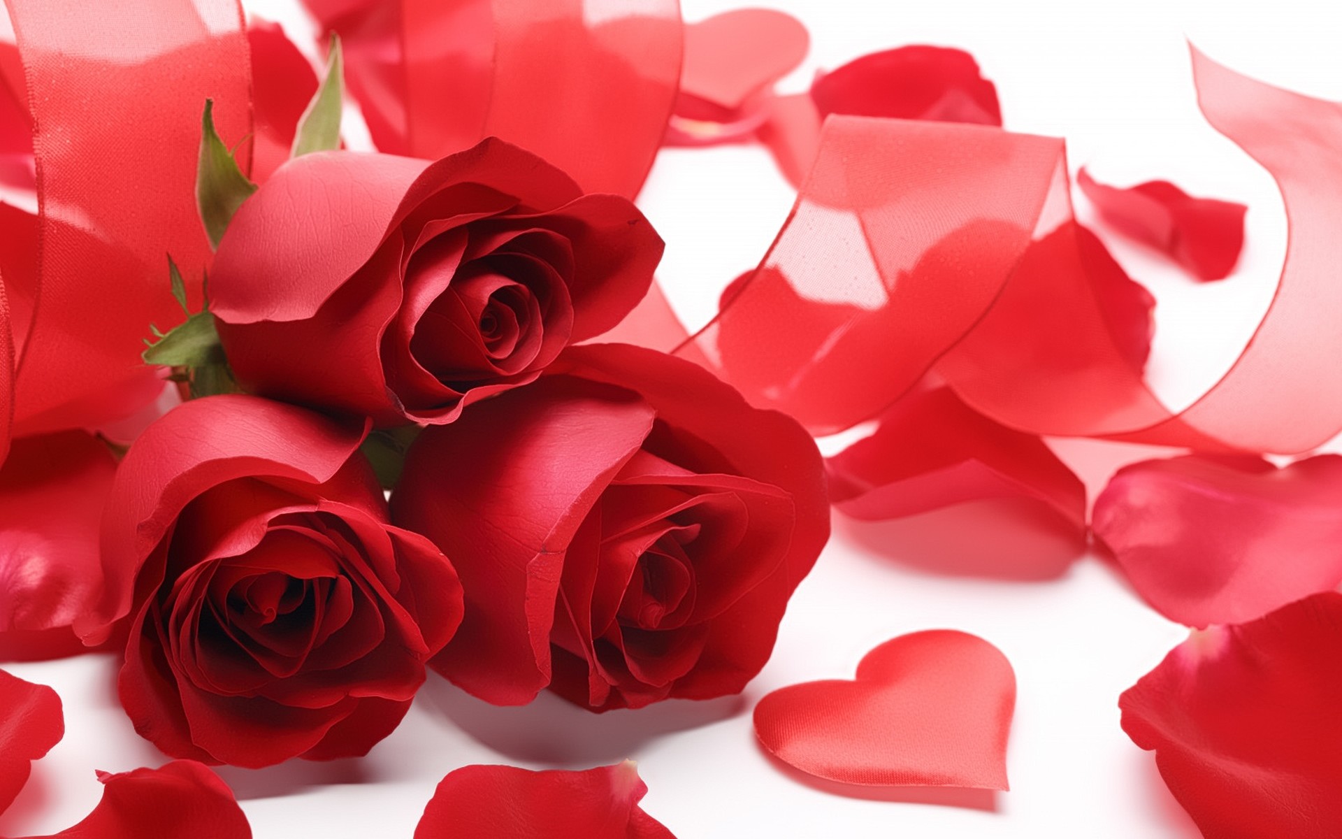 Red Rose Love Wallpaper Image