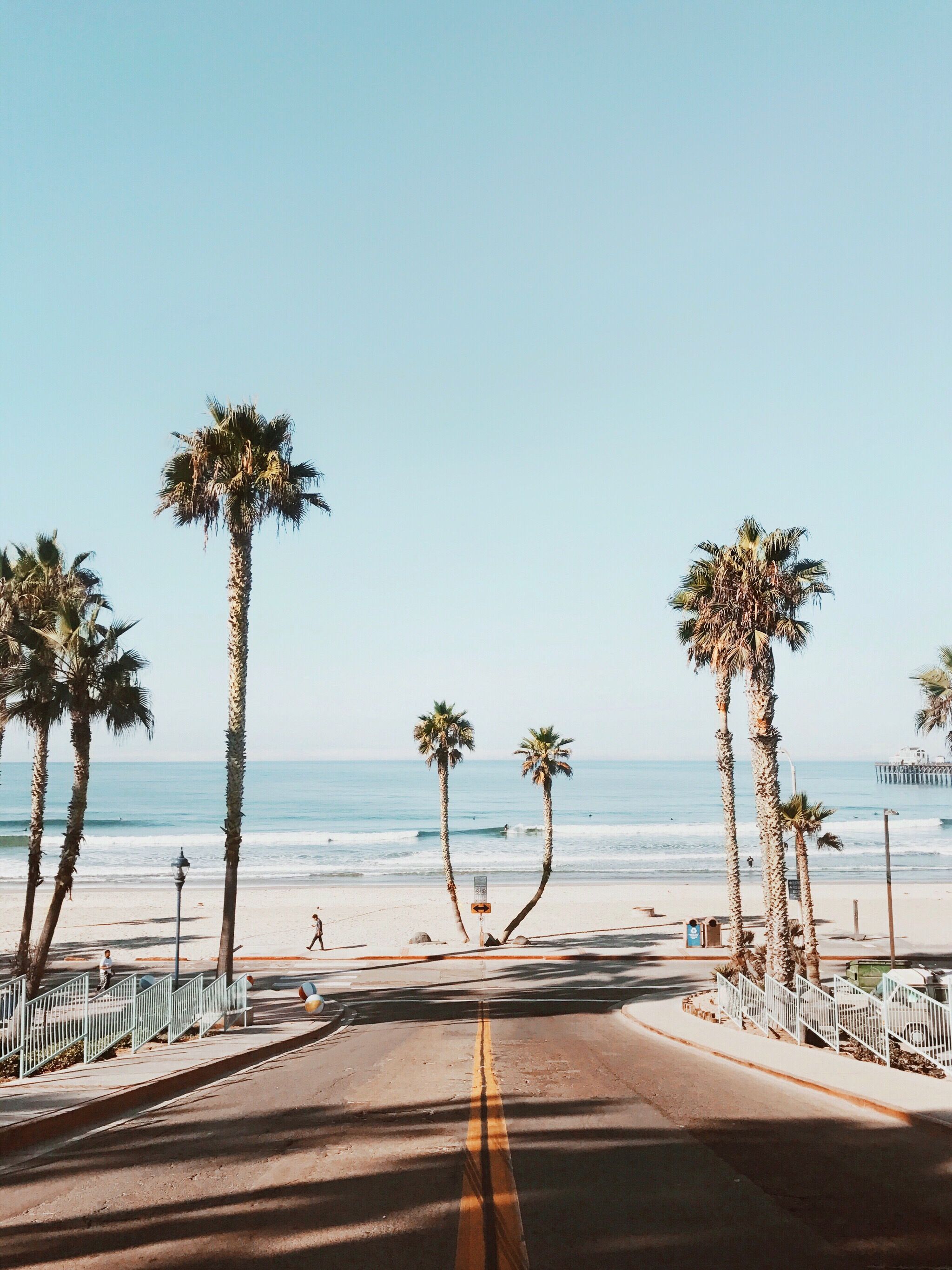 Free Download Beach And Palms In Oceanside California Domestic