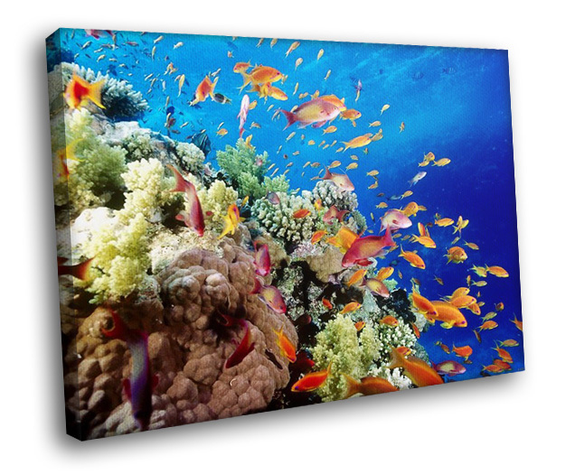 [50+] Bing Deep Sea Fishing Wallpapers | WallpaperSafari