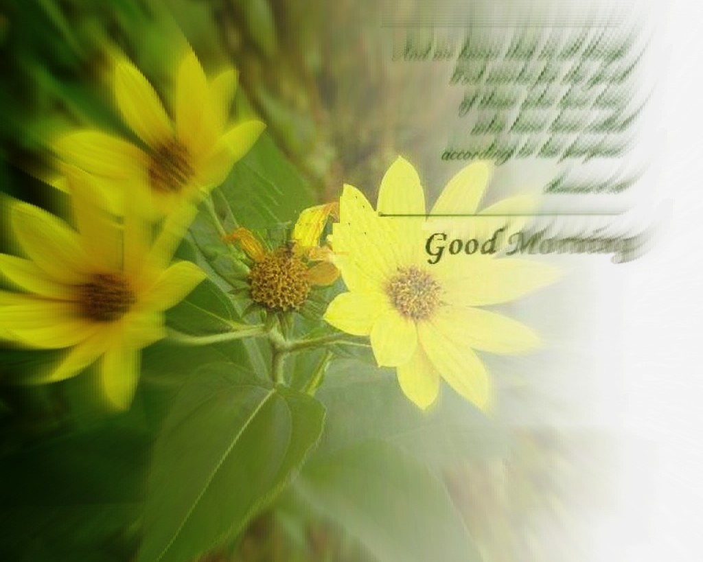 good morning wallpaper with messages