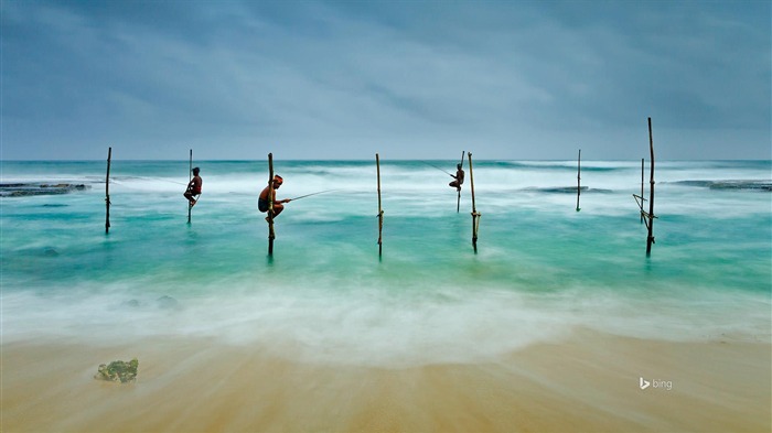 Sri Lanka Can Caracas Beach Bing Theme Wallpaper