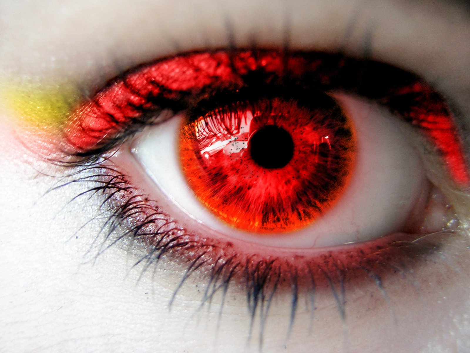 HD Eyes Wallpaper latest wallpapers free download