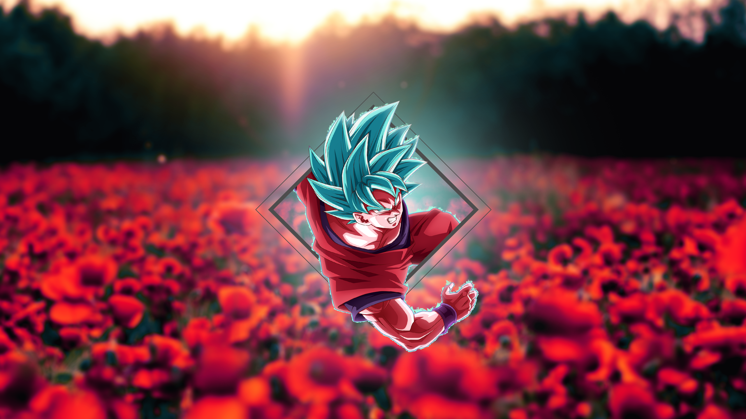 Goku Ultra Instinct Wallpaper Icon HD