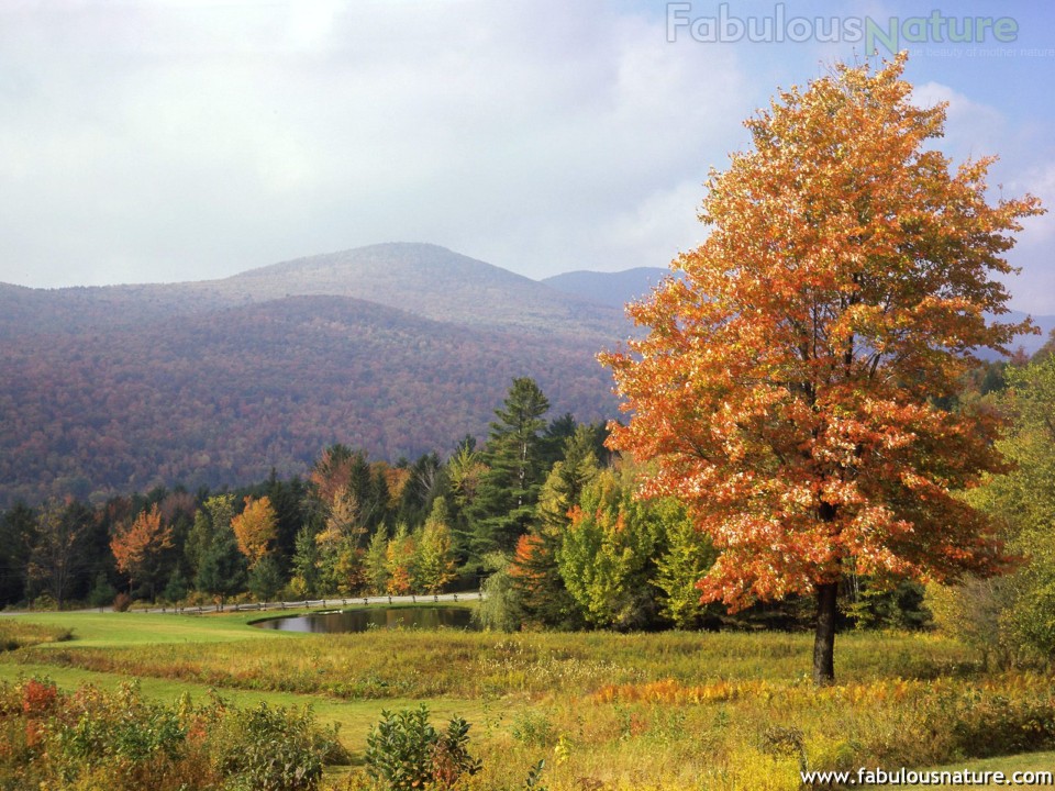 Autumn Fall Pictures Mount Mansfield Vermont