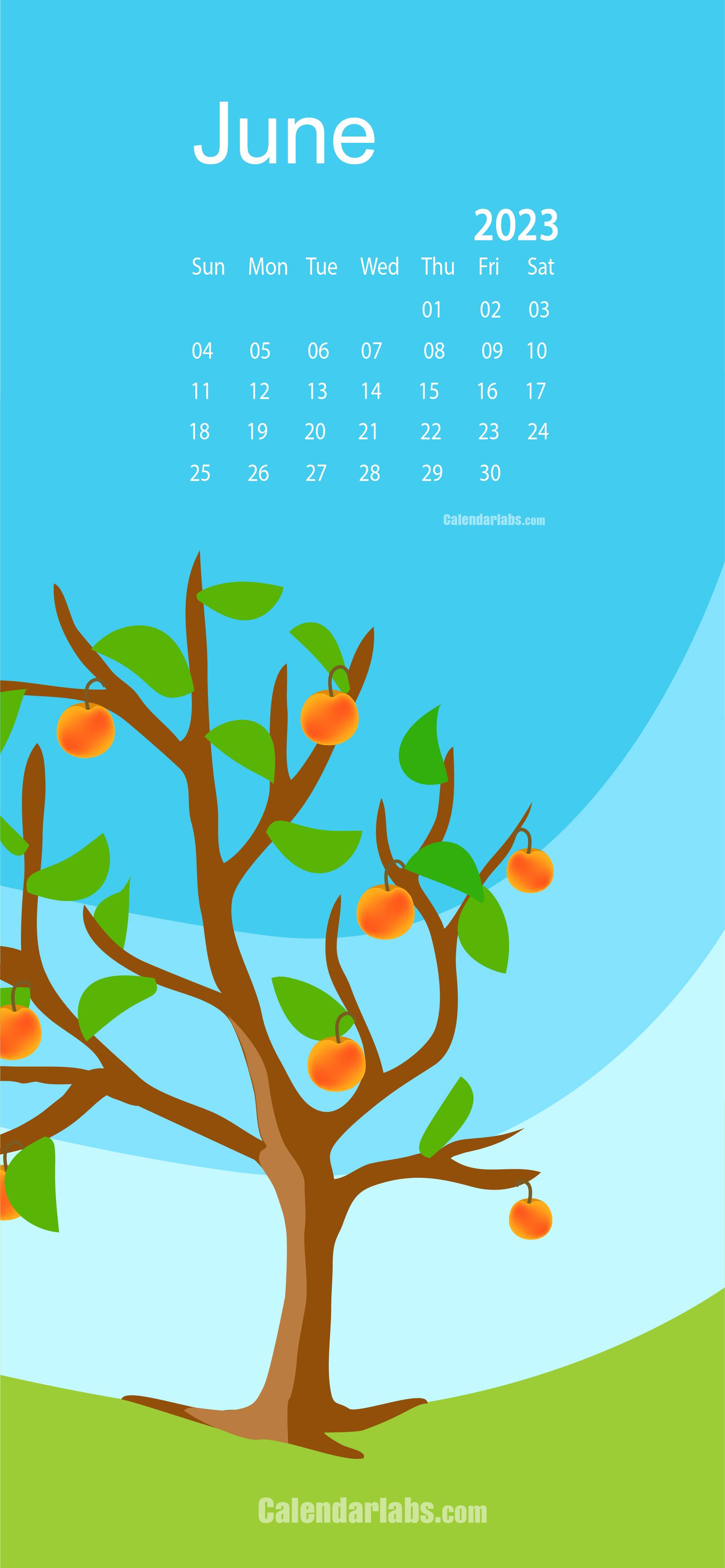 June Desktop Wallpaper Calendar Calendarlabs