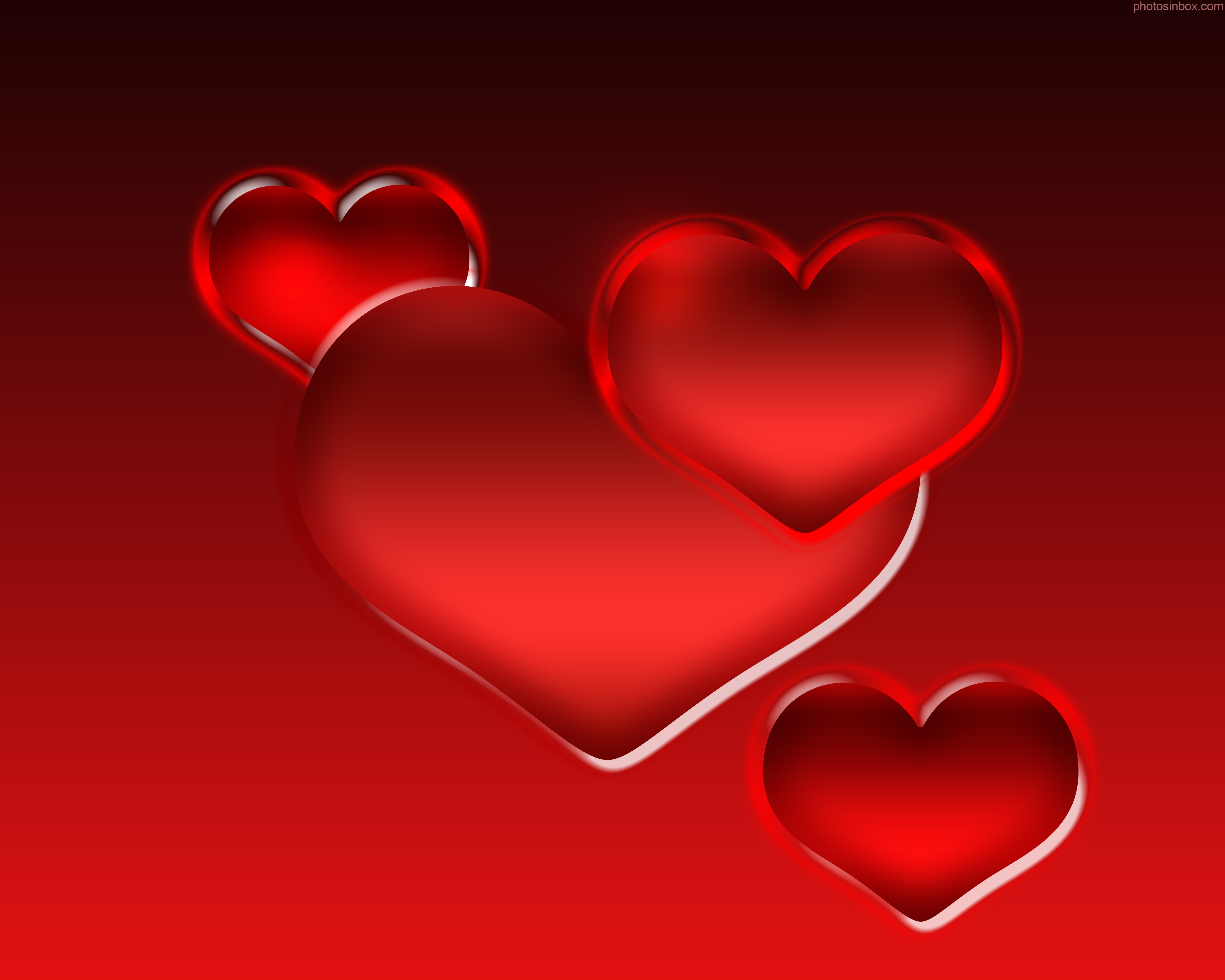 3000 Free Red Heart  Heart Images  Pixabay