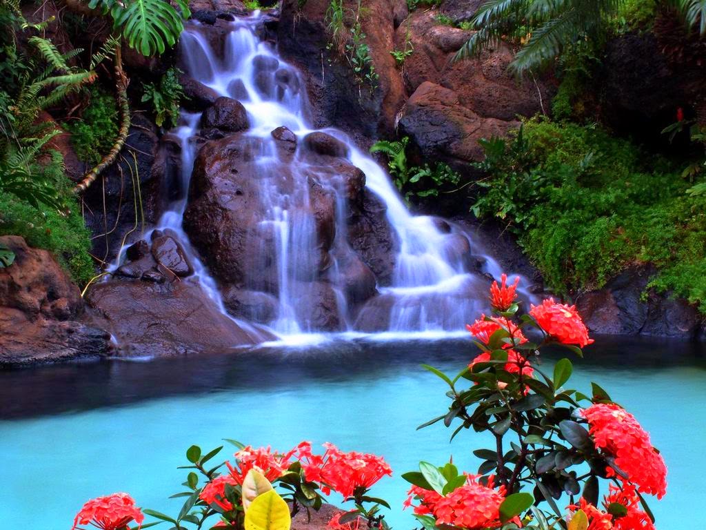 Animated Waterfall Wallpaper In High Resolution For