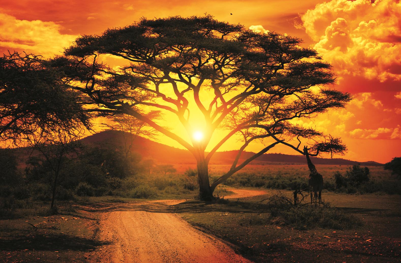 African Sunset Bright Photo Wallpaper Wall Mural Cn 400p