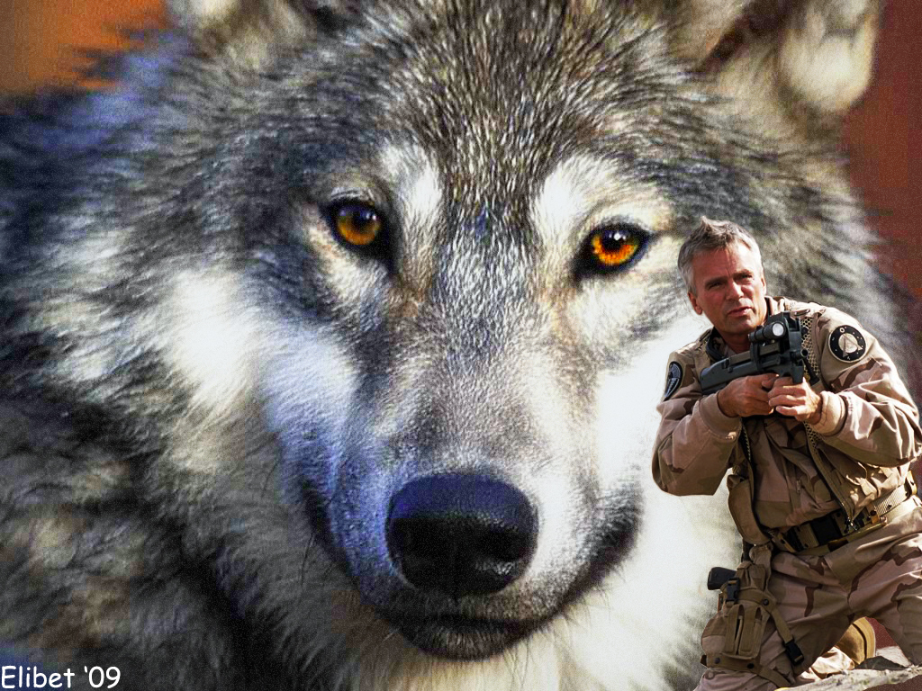 Jack And The Lupo Stargate Sg Wallpaper