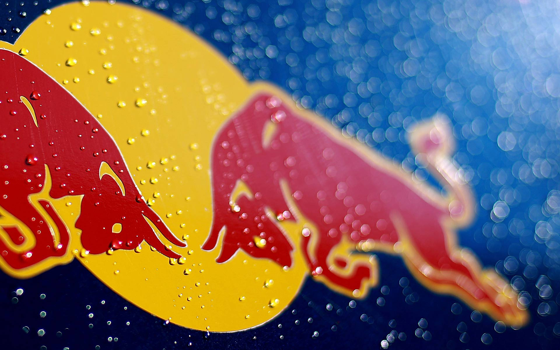 Excellent Red Bull Wallpaper Full HD Pictures