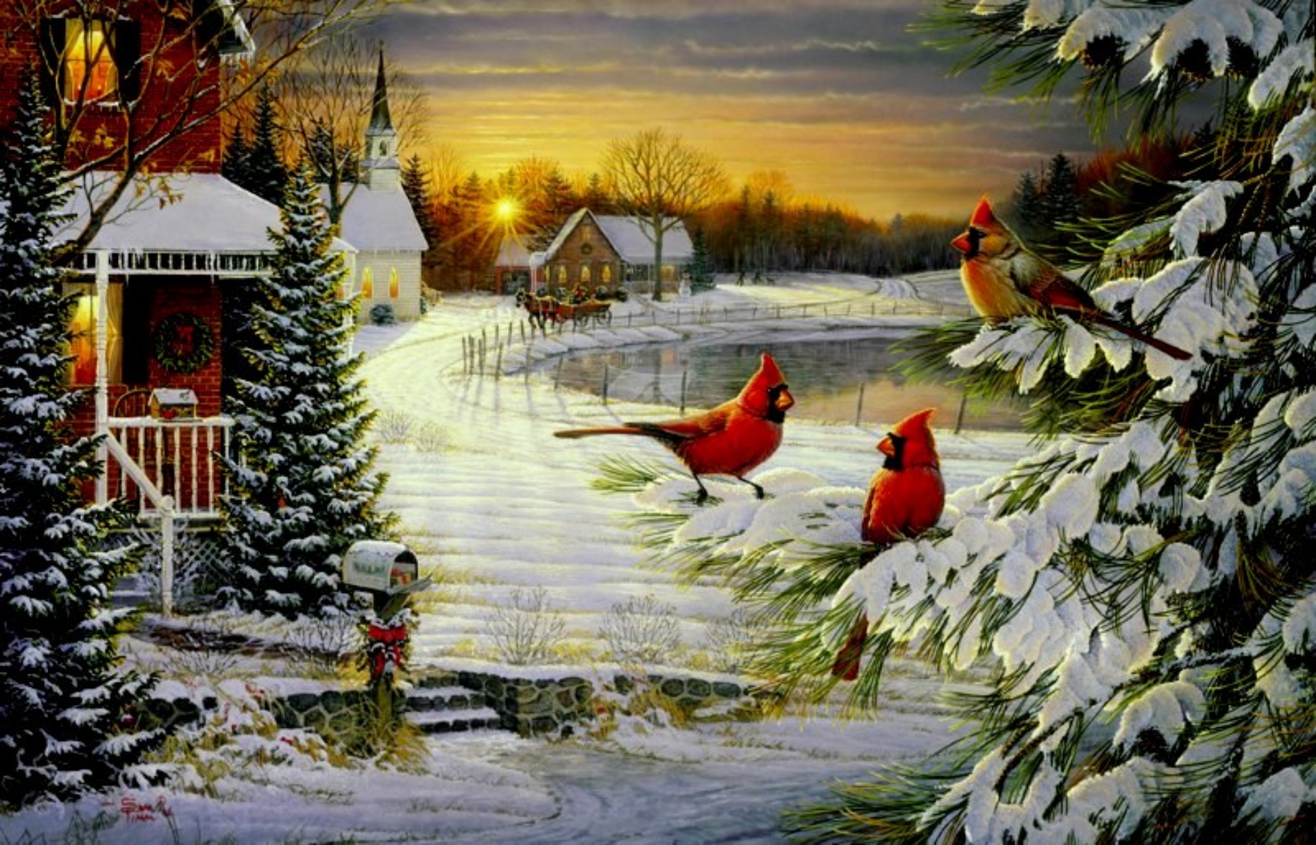Cardinals birds   Cardinals Christmas Wallpapers   HD Wallpapers 1920x1234
