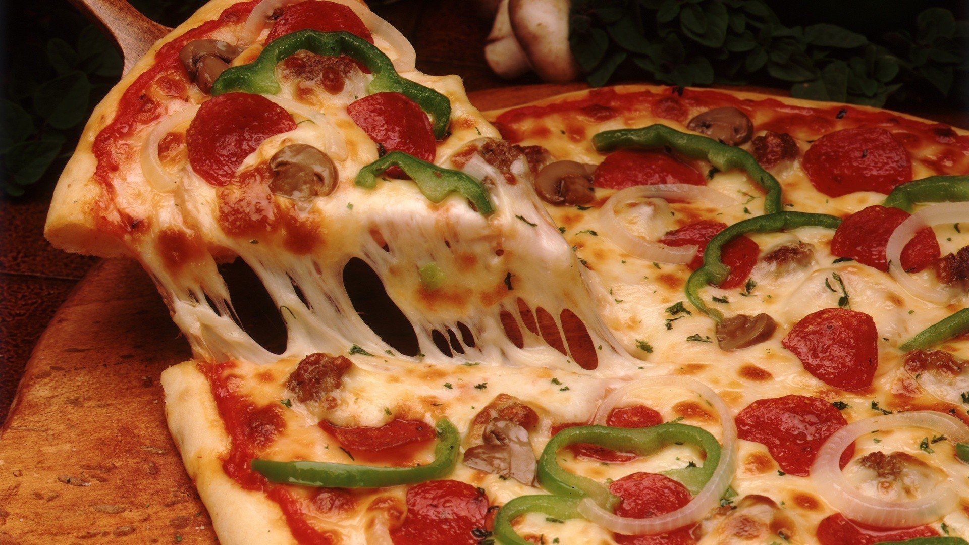 Food Pizza Cheese HD Wallpaper Desktop And Mobile Image Photo