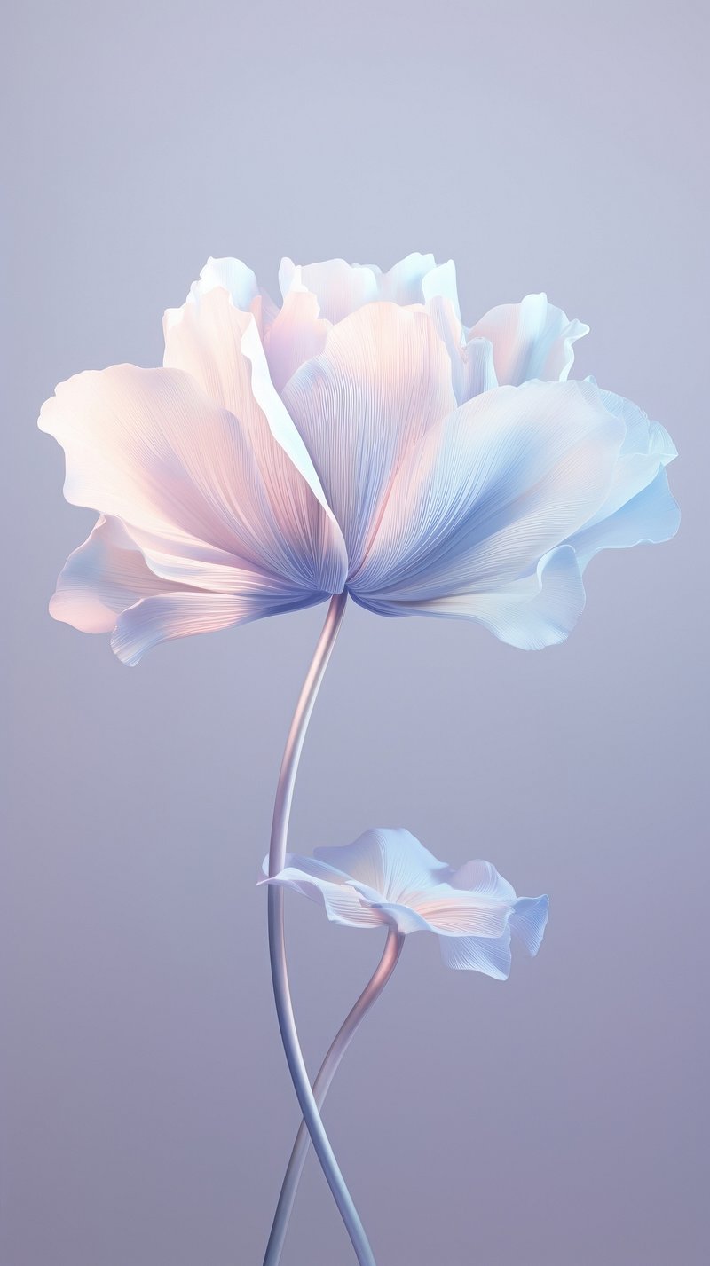Flower iPhone Wallpaper