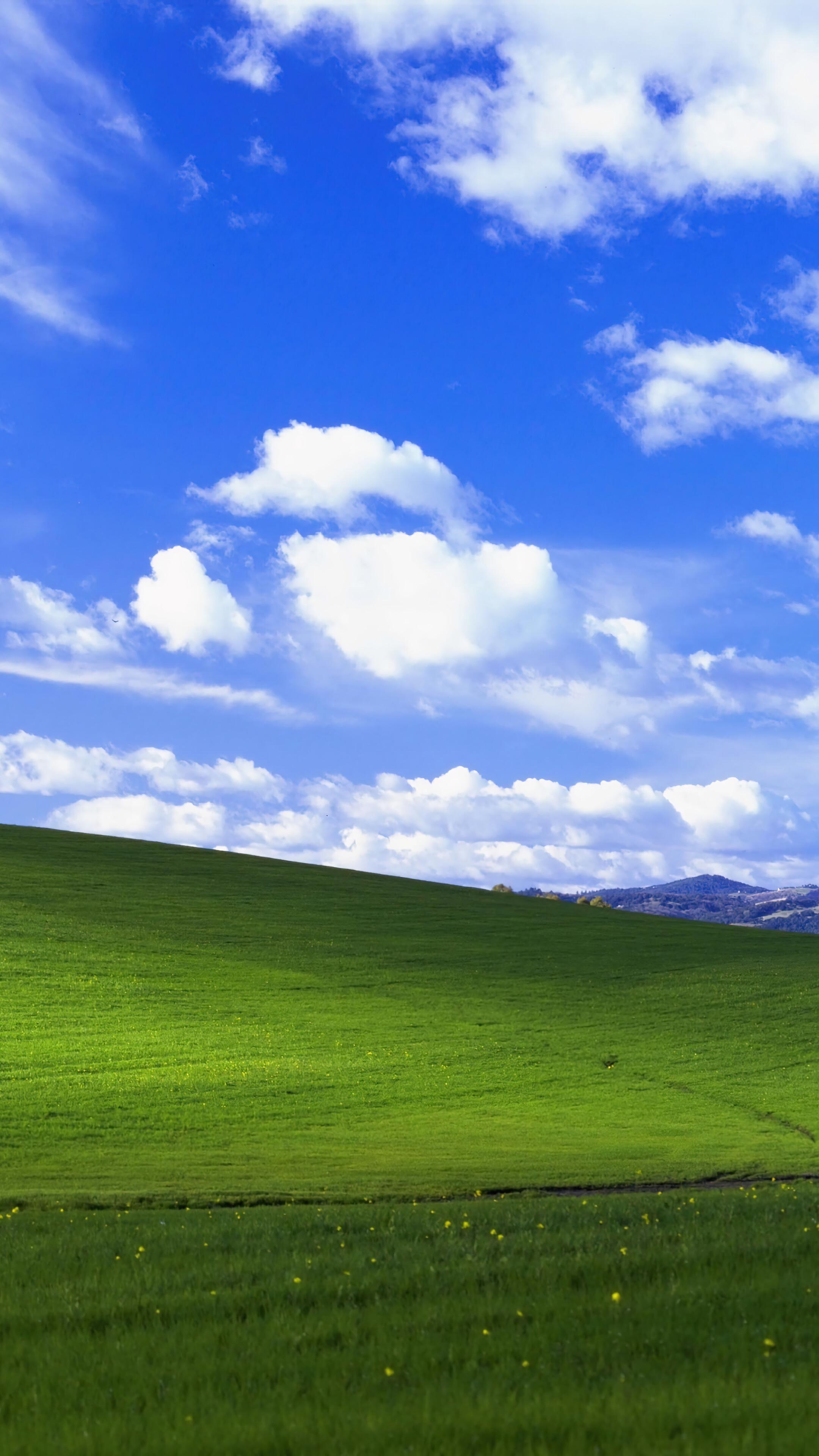 🔥 Free download Windows XP Background Wallpaper iPhone Phone 4K 1460e ...