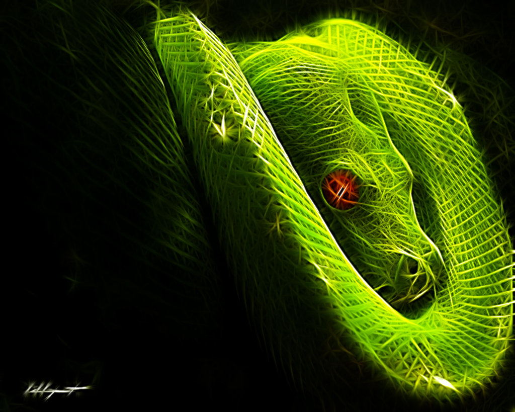 Green Tree Python By Lolly1123
