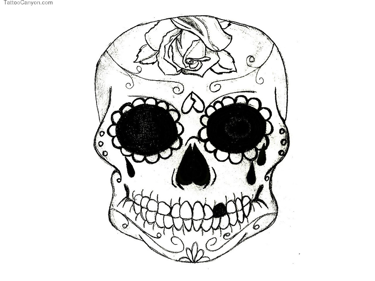 Designs Funny Sugar Skull Tattoo Wallpaper Picture