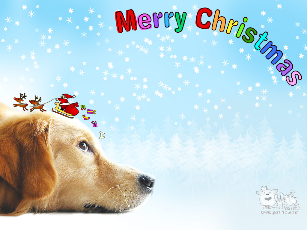 Misc Christmas Free Desktop Wallpapers   Page 1