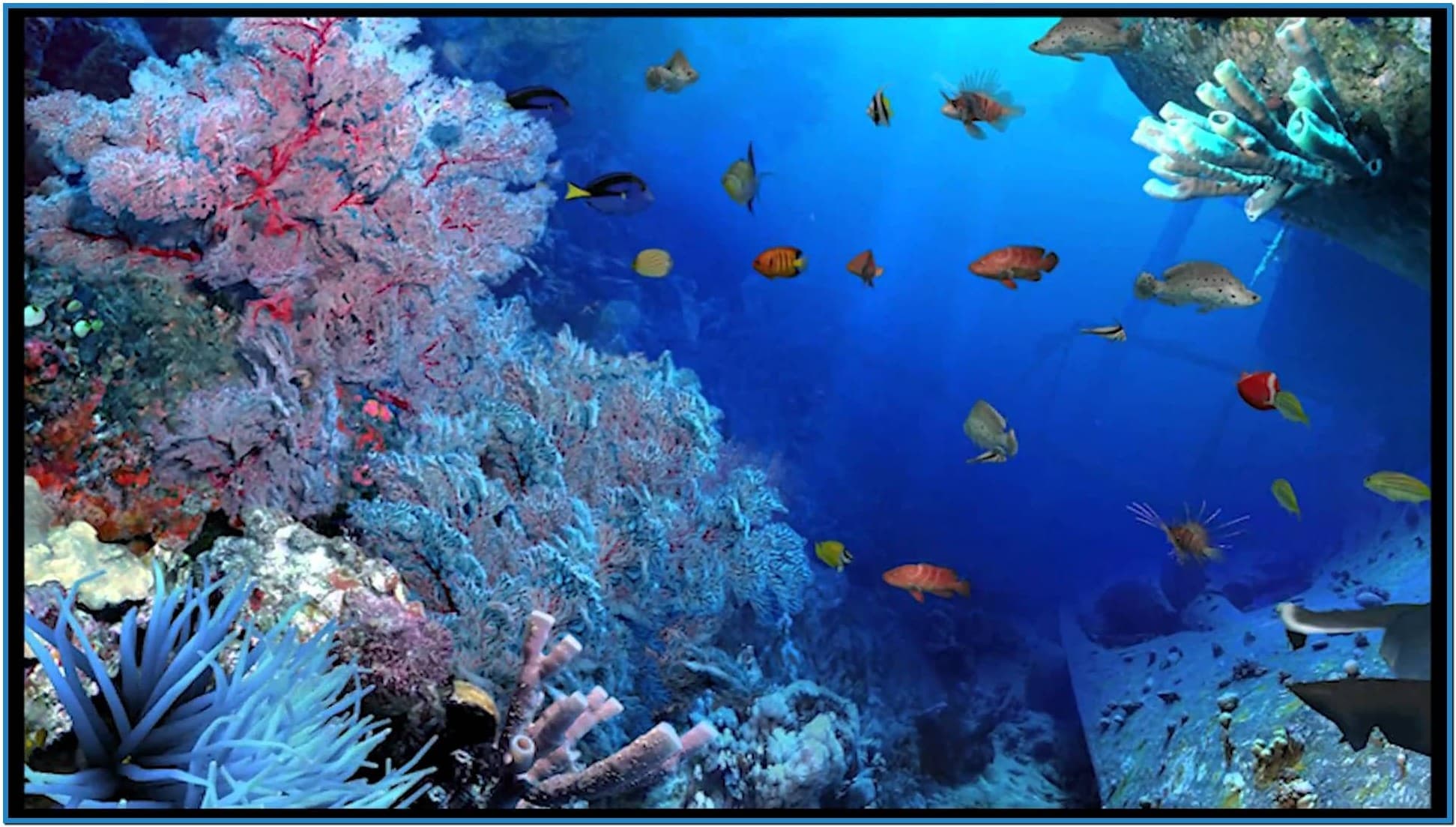 Aquareal 3d sea aquarium screensaver   Download free