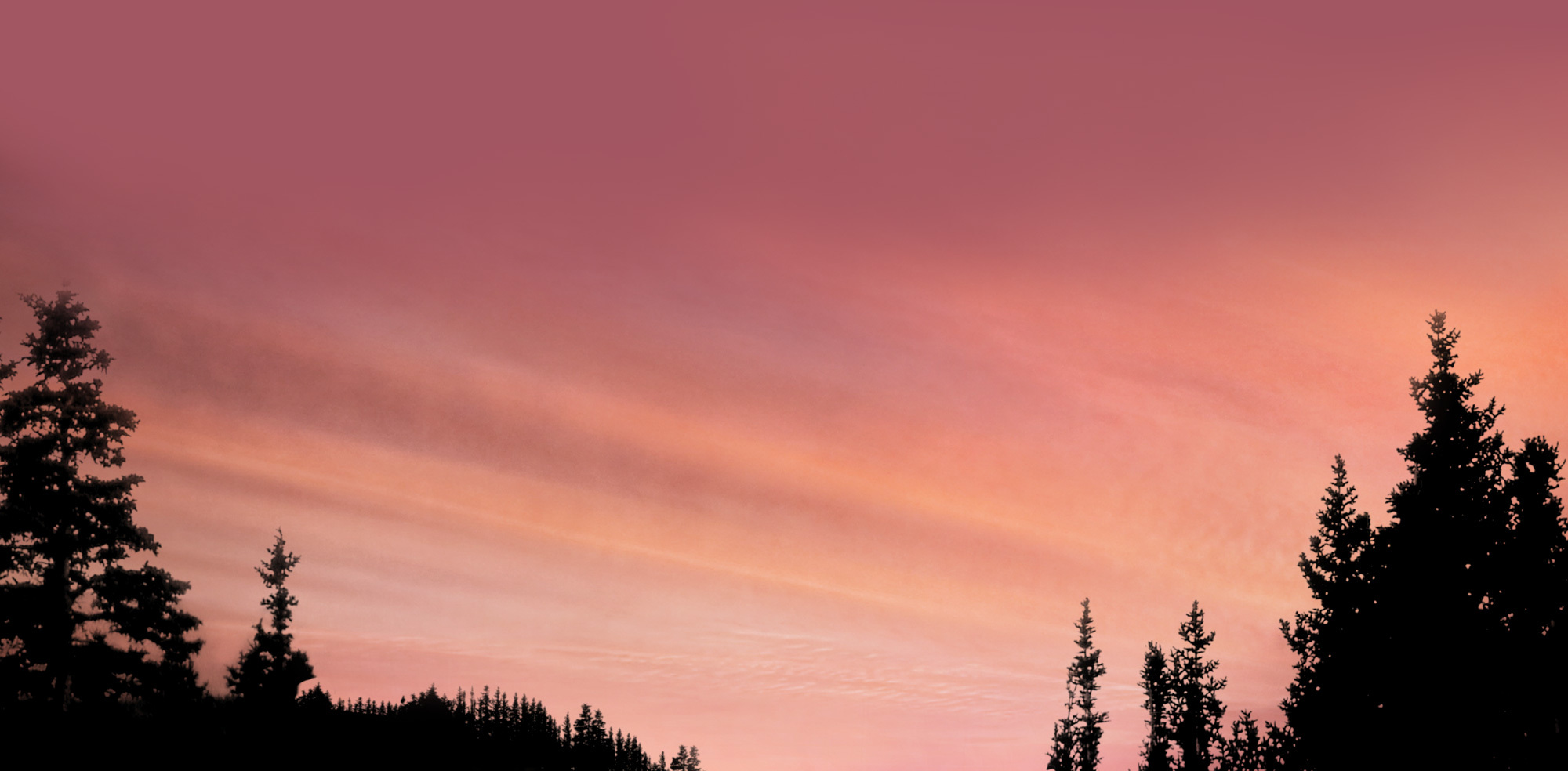 Breaking Dawn Background Twilight Series Photo