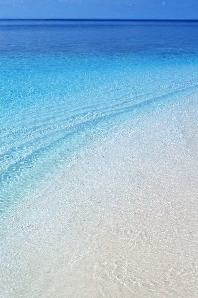Under Ocean iPhone Wallpaper Funds For Your Ipod