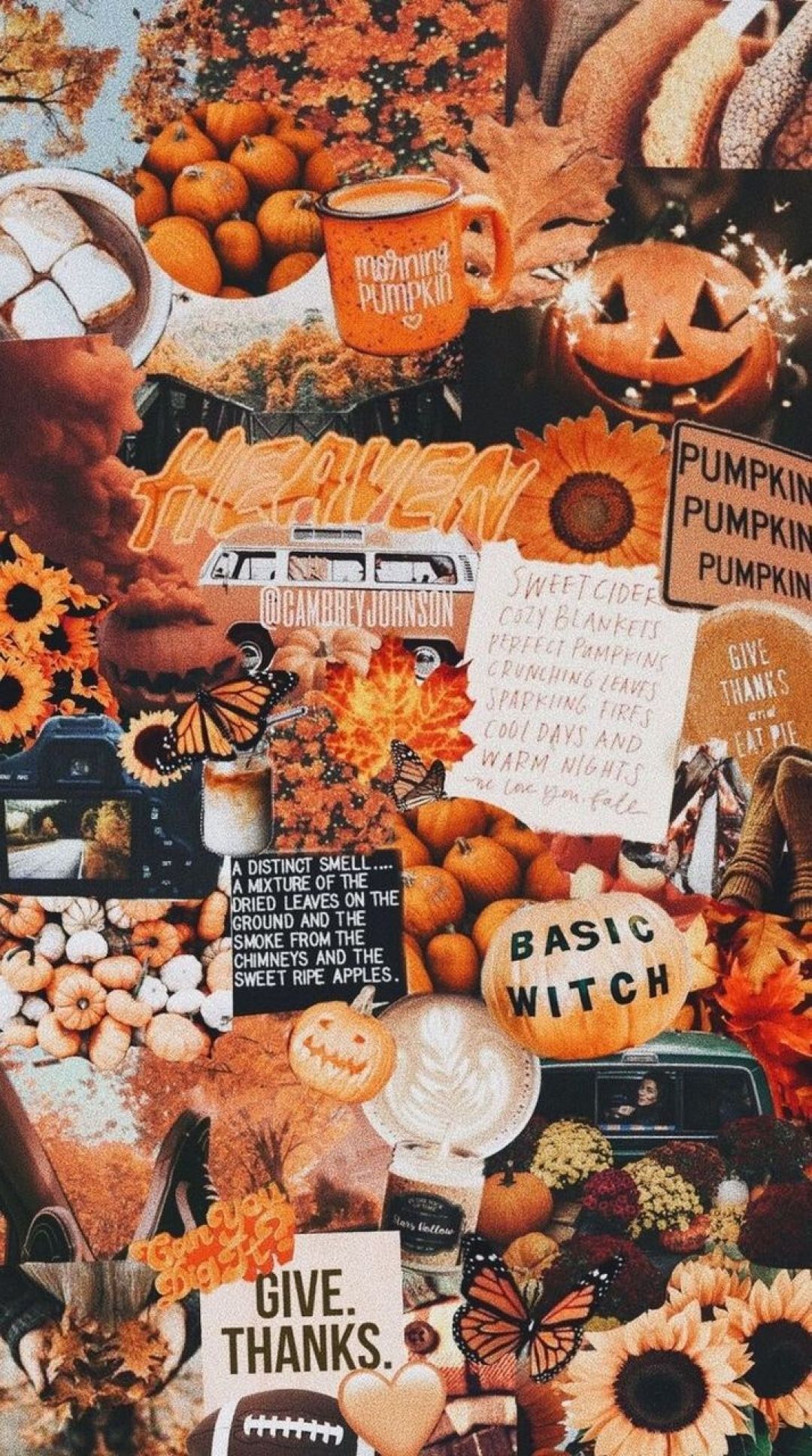 Abstract Pumpkin Wallpaper Background Beautiful Best